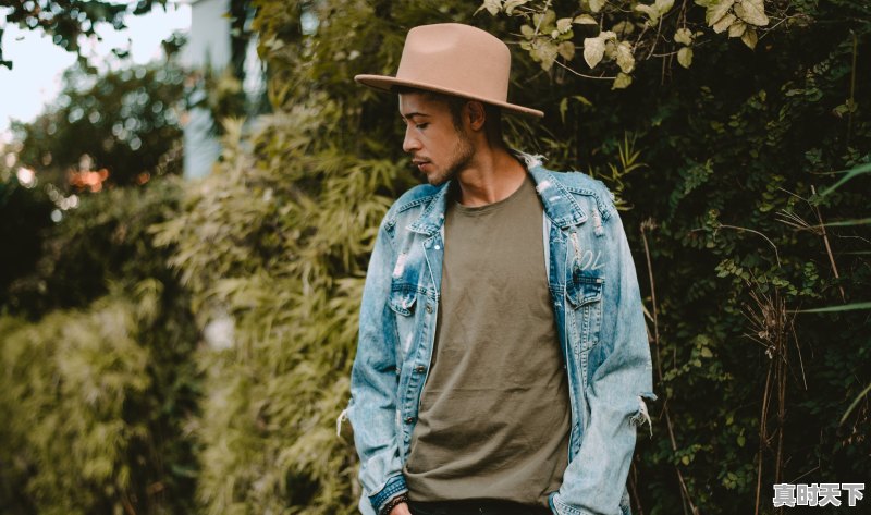 沈腾马丽最新综艺叫什么 - 真时天下