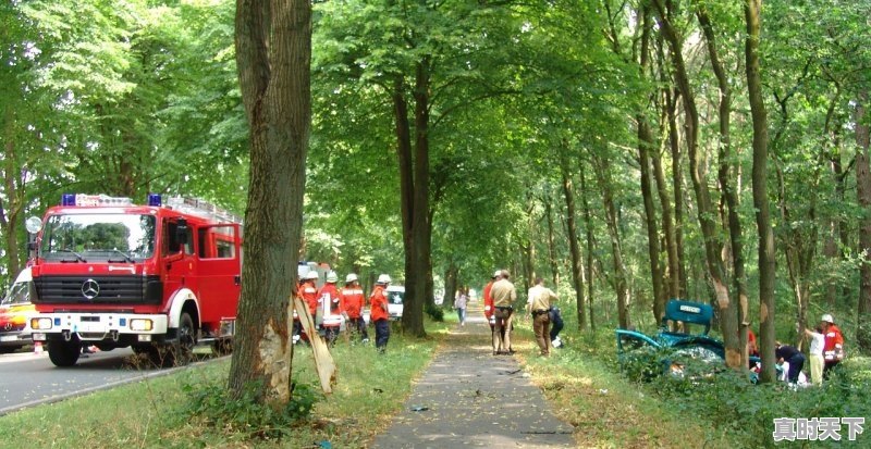 湛江市车辆报废补偿标准 - 真时天下
