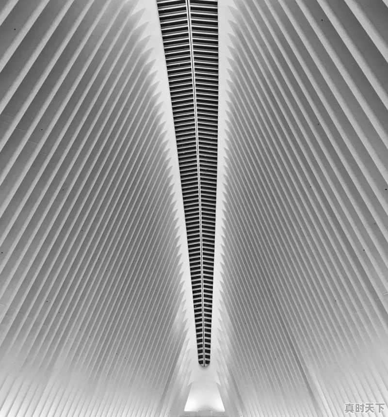 房管局和房产交易中心是什么单位 - 真时天下