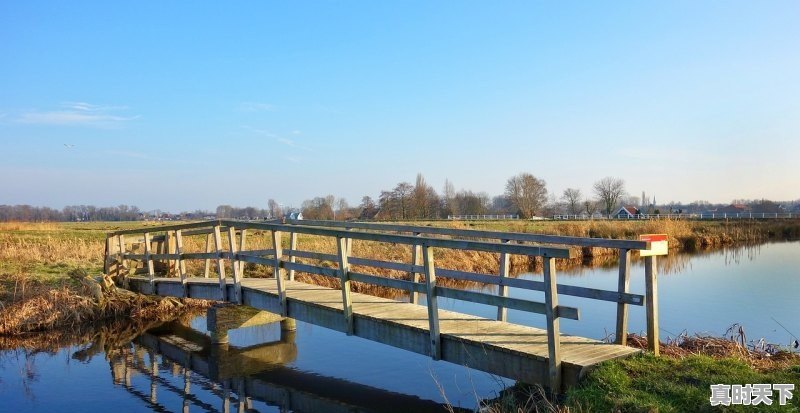 2023年小麦补贴每亩多少钱山东省 - 真时天下