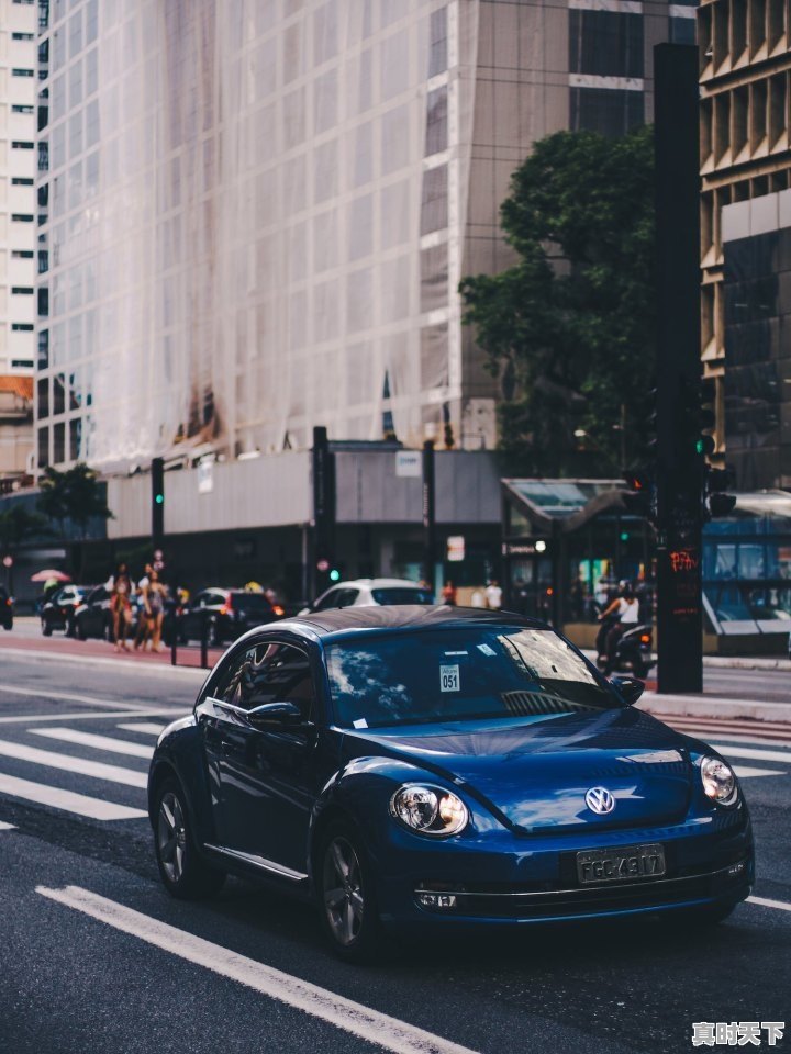 二手车行哪种算是无泡水无事故的 - 真时天下