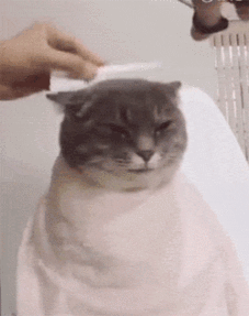 免费旅游景点,上海哪些旅游景点免费 - 真时天下