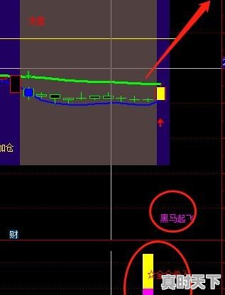 大盘下跌个股上涨说明什么 - 真时天下