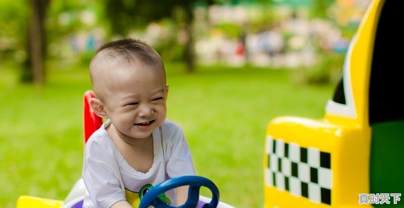 有会说话的火的还有一个稻草人动画电影叫什么名字 - 真时天下