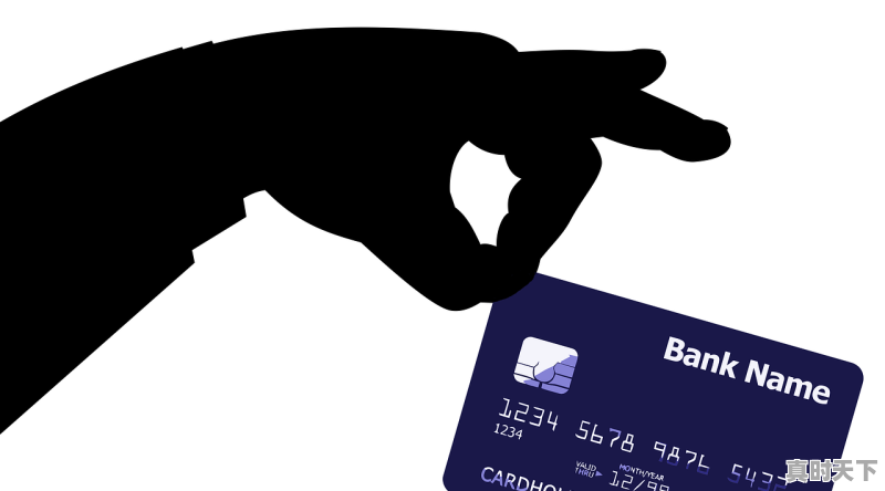 购车分期付款如何自己挂牌 - 真时天下