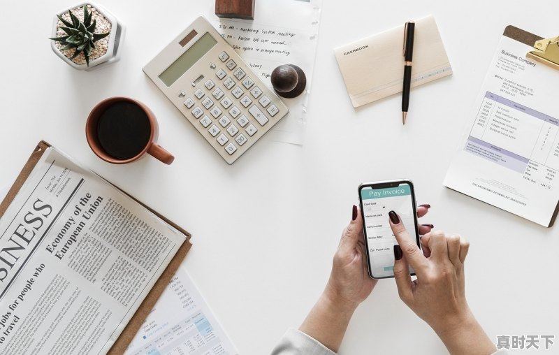 如何看盘中资金流向 - 真时天下