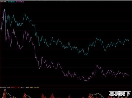 金银价格走势相关吗，为什么今年金价涨那么多银价却下跌呢 - 真时天下