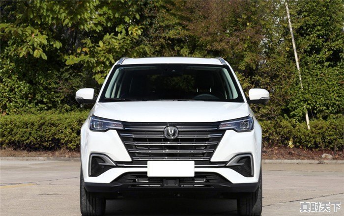 想买一辆国产S∪V，计划12万左右落地，哪一款比较靠谱求推荐 - 真时天下