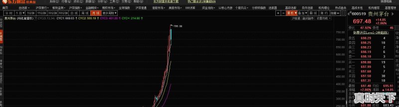 哪只股票适合长期持有 - 真时天下