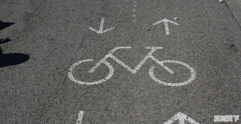 有哪些事情是你去南方后才知道的 - 真时天下