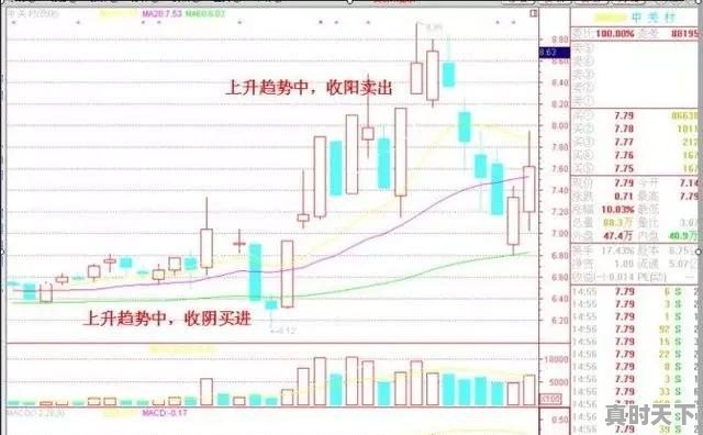 买股票的基本原则及操作技巧是什么 - 真时天下