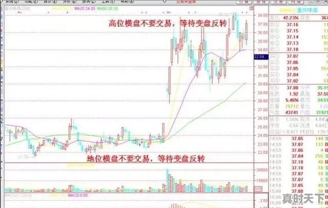 买股票的基本原则及操作技巧是什么 - 真时天下