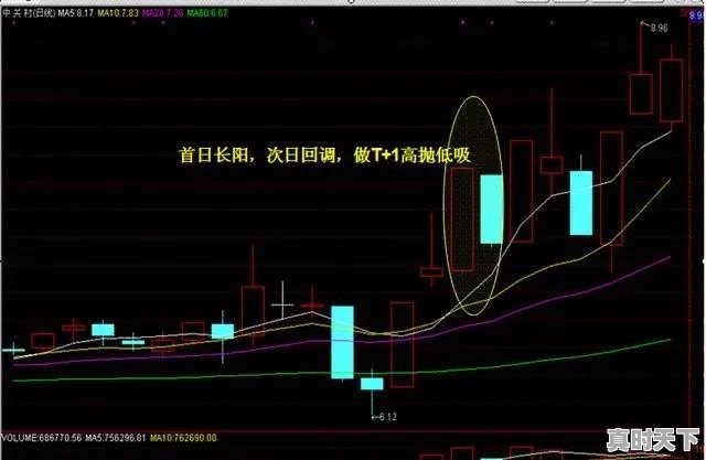 买股票的基本原则及操作技巧是什么 - 真时天下