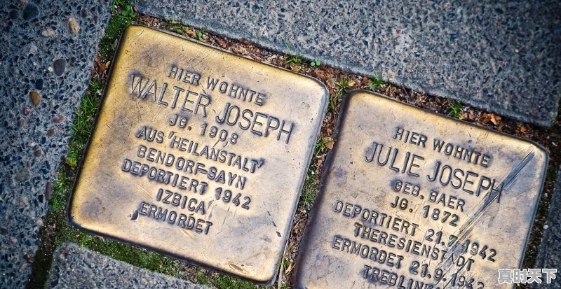 股票名称排序 - 真时天下