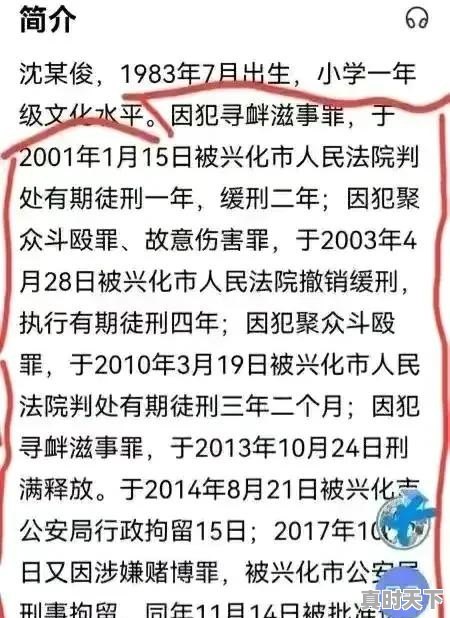 沈某俊没动手为什么仓皇而逃？究竟有哪些前科 - 真时天下