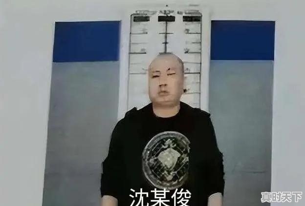 沈某俊没动手为什么仓皇而逃？究竟有哪些前科 - 真时天下