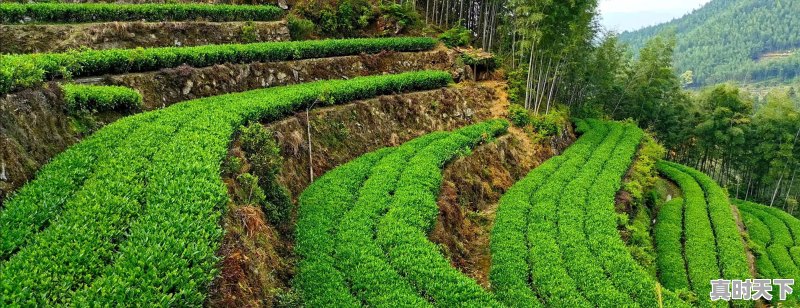 福建龙岩夏天去为什么不适合？雨量大了怎么躲避 - 真时天下