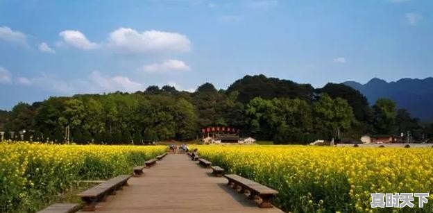 福建龙岩夏天去为什么不适合？雨量大了怎么躲避 - 真时天下