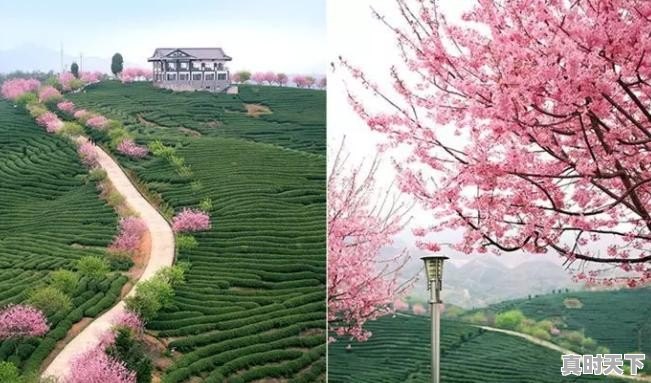 福建龙岩夏天去为什么不适合？雨量大了怎么躲避 - 真时天下