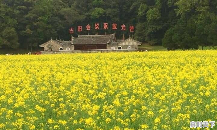 福建龙岩夏天去为什么不适合？雨量大了怎么躲避 - 真时天下