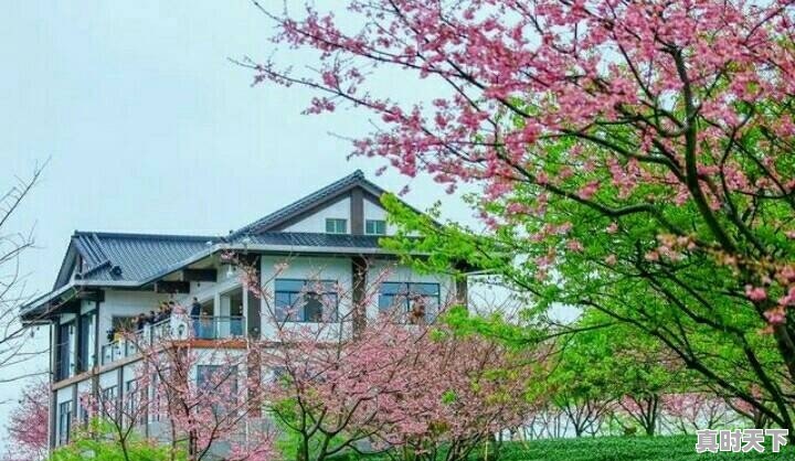 福建龙岩夏天去为什么不适合？雨量大了怎么躲避 - 真时天下