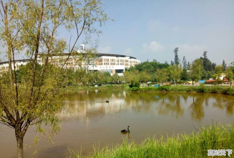 福建龙岩夏天去为什么不适合？雨量大了怎么躲避 - 真时天下