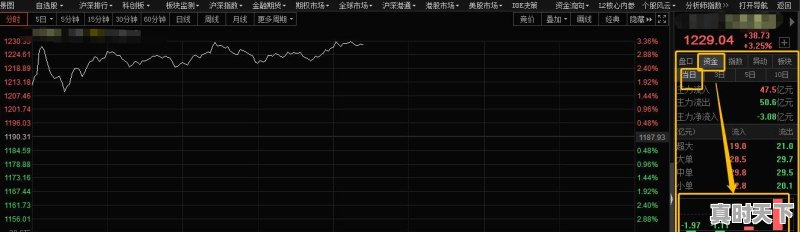 怎么查股票大盘 - 真时天下