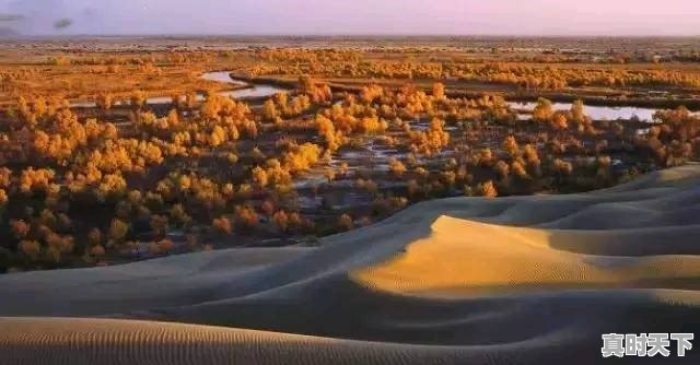 为什么要提倡创新精神 - 真时天下