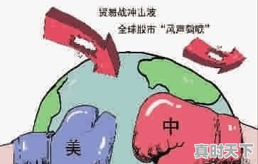 钢材价格暴跌的原因是什么 - 真时天下