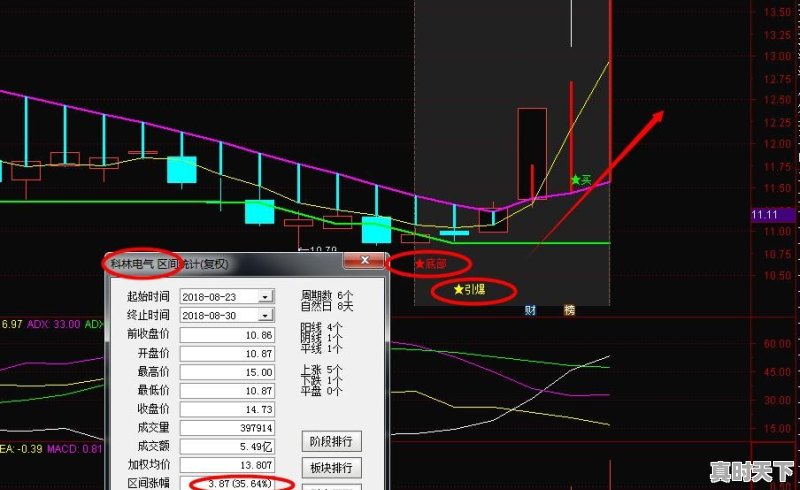 把自己的股市炒作明细发到网上违规吗 - 真时天下