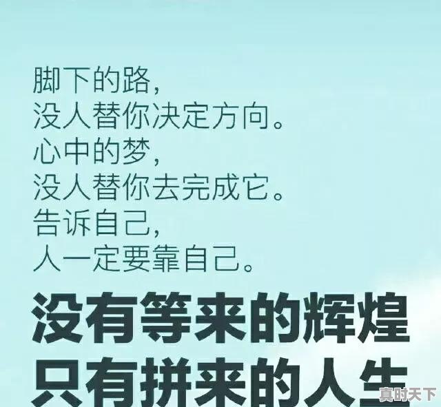 假如有资金让你改造开封城，你会怎么做 - 真时天下