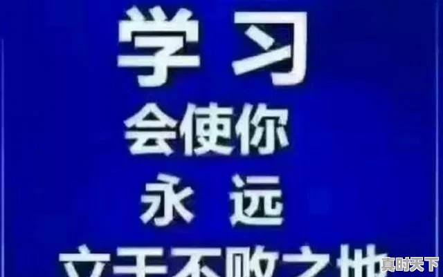 假如有资金让你改造开封城，你会怎么做 - 真时天下