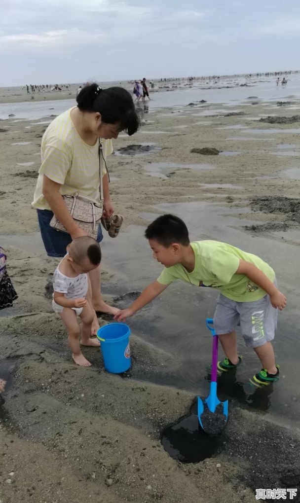 八月下旬有大约10天的假期，一家三口去哪儿旅行比较好，孩子七岁，可以自驾或租车 - 真时天下