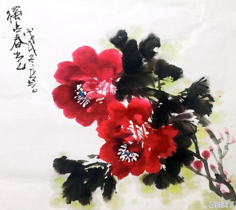 你的家乡，“昨天”的方言叫啥 - 真时天下