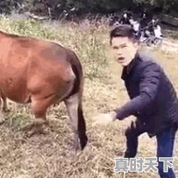 你的家乡，“昨天”的方言叫啥 - 真时天下