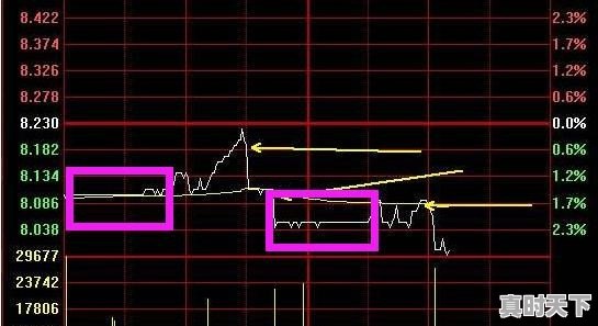 上涨过程中，涨了七点几，看看涨停处挂着非常大的巨卖单，什么意思？请教 - 真时天下