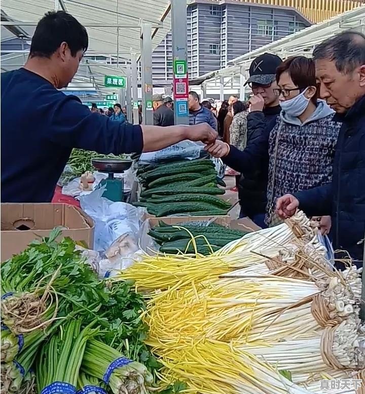 呼和浩特生活物价消费怎样 - 真时天下