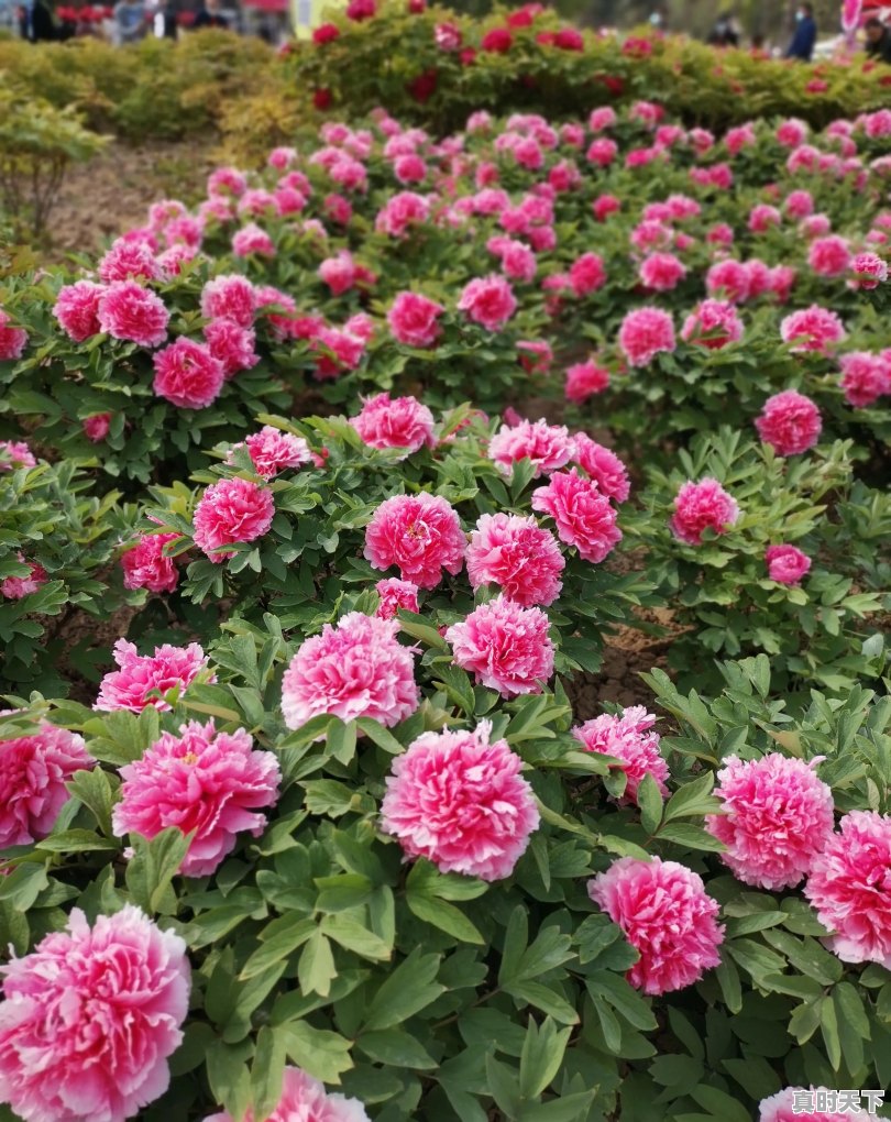 仪征天气24小时 - 真时天下