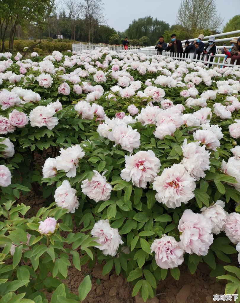 仪征天气24小时 - 真时天下