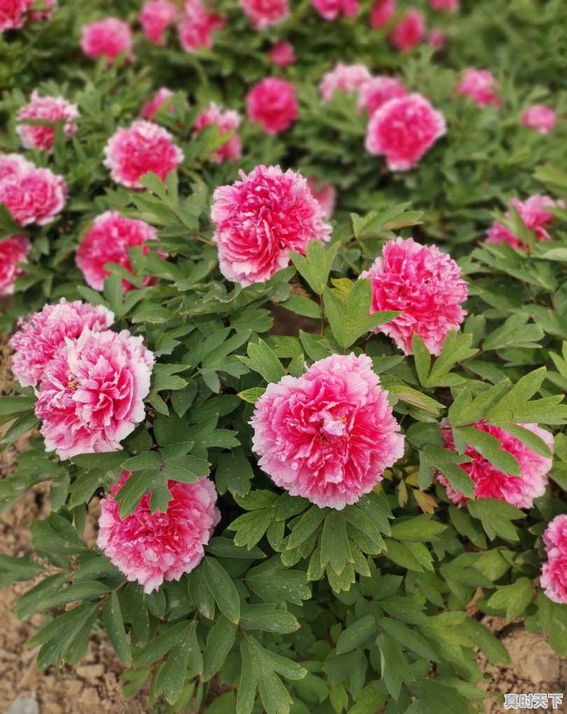 仪征天气24小时 - 真时天下