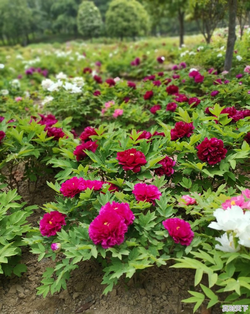 仪征天气24小时 - 真时天下