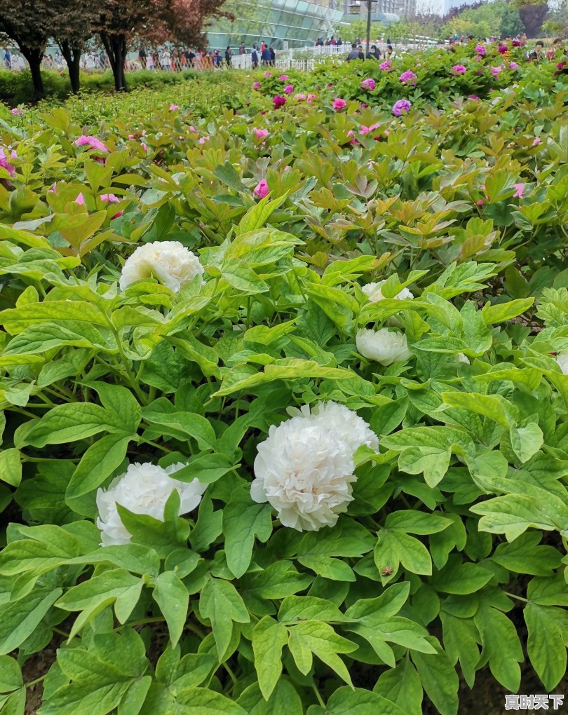 仪征天气24小时 - 真时天下