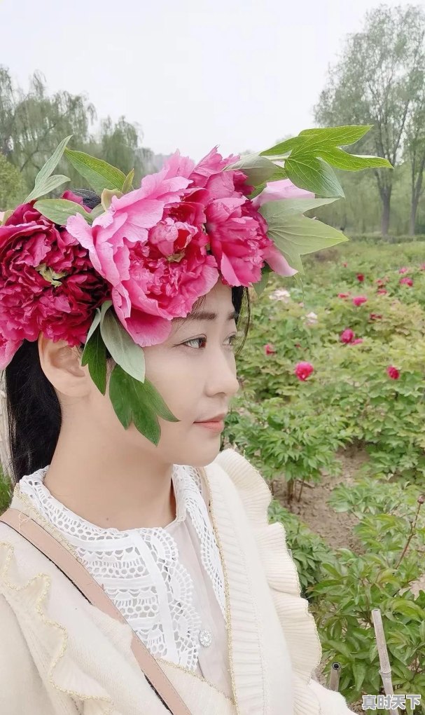 仪征天气24小时 - 真时天下