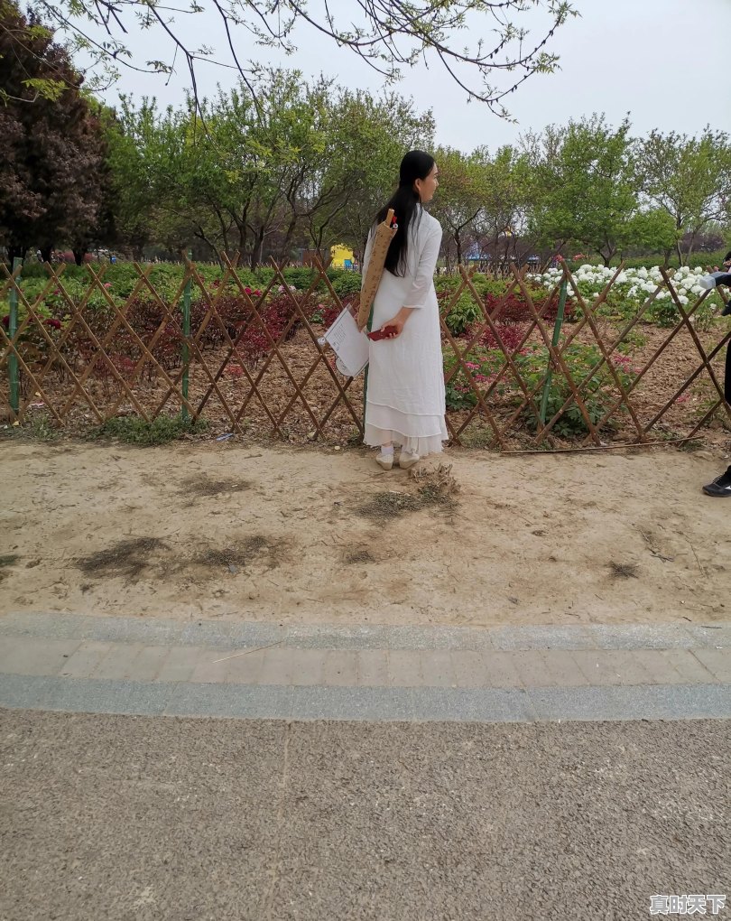 仪征天气24小时 - 真时天下