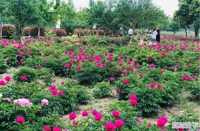 仪征天气24小时 - 真时天下