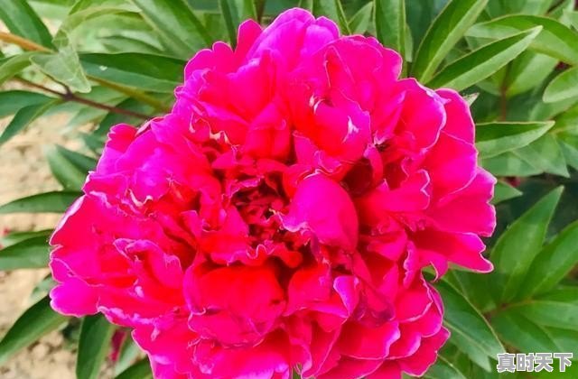 仪征天气24小时 - 真时天下