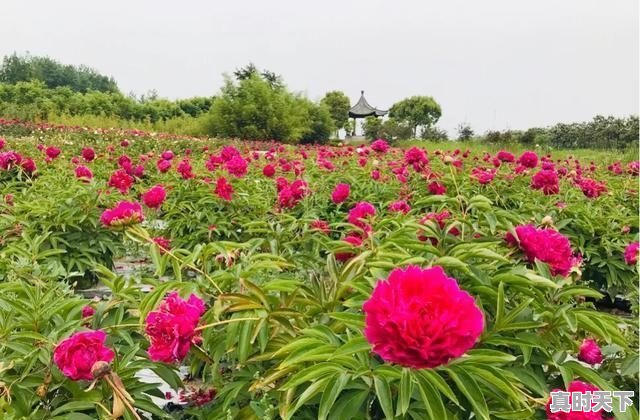 仪征天气24小时 - 真时天下