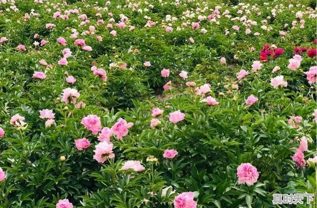 仪征天气24小时 - 真时天下