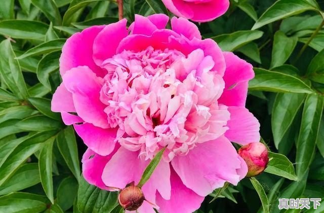 仪征天气24小时 - 真时天下