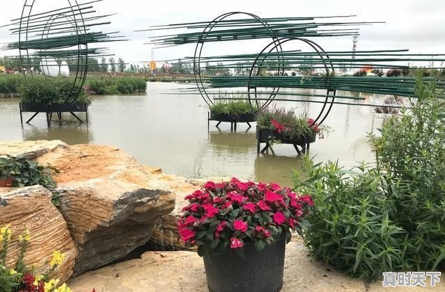 仪征天气24小时 - 真时天下